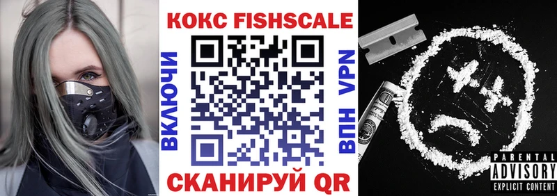 закладка  Каменск-Шахтинский  Cocaine FishScale 