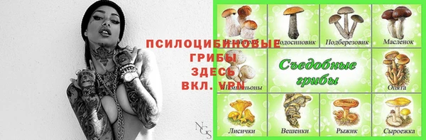 стафф Нягань