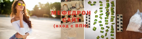 шишки Няндома
