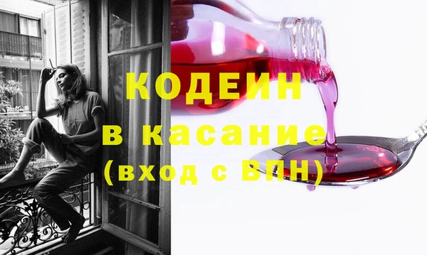 шишки Няндома