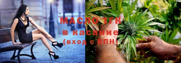 шишки Няндома