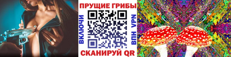 Галлюциногенные грибы мицелий  Каменск-Шахтинский 